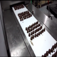 KH-175 chocolate double depositing production line/chocolate food machine
