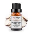 100% Natural and Pure Dahurica Angelica Oil Essential Herbal Medicine Oil