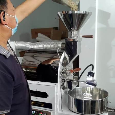 DONGYI Smart Electric Coffee Roaster Professional Coffee Bean Roaster 110V/220V