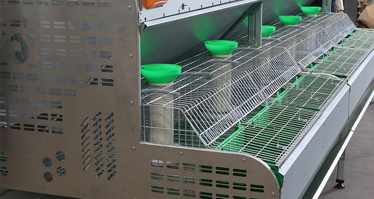 Jinmuren coop plan commercial rabbit farming rabbit breeding galvanized battery cages