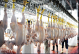 horizontal chicken feet yellow skin remover slaughterhouse equipment