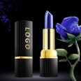 Private Label  Long Lasting Changing Color Magic Lipstick Cruelty Free Natural Organic Vegan Lipstick