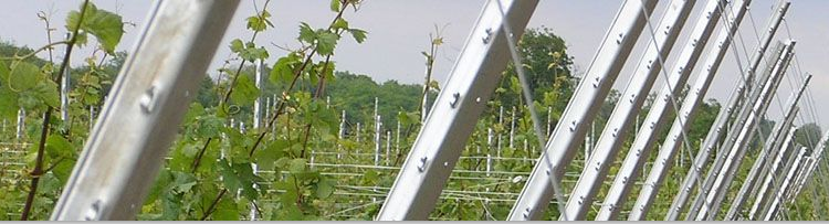 Low price vineyard metal trellis post /Grape post use in farm