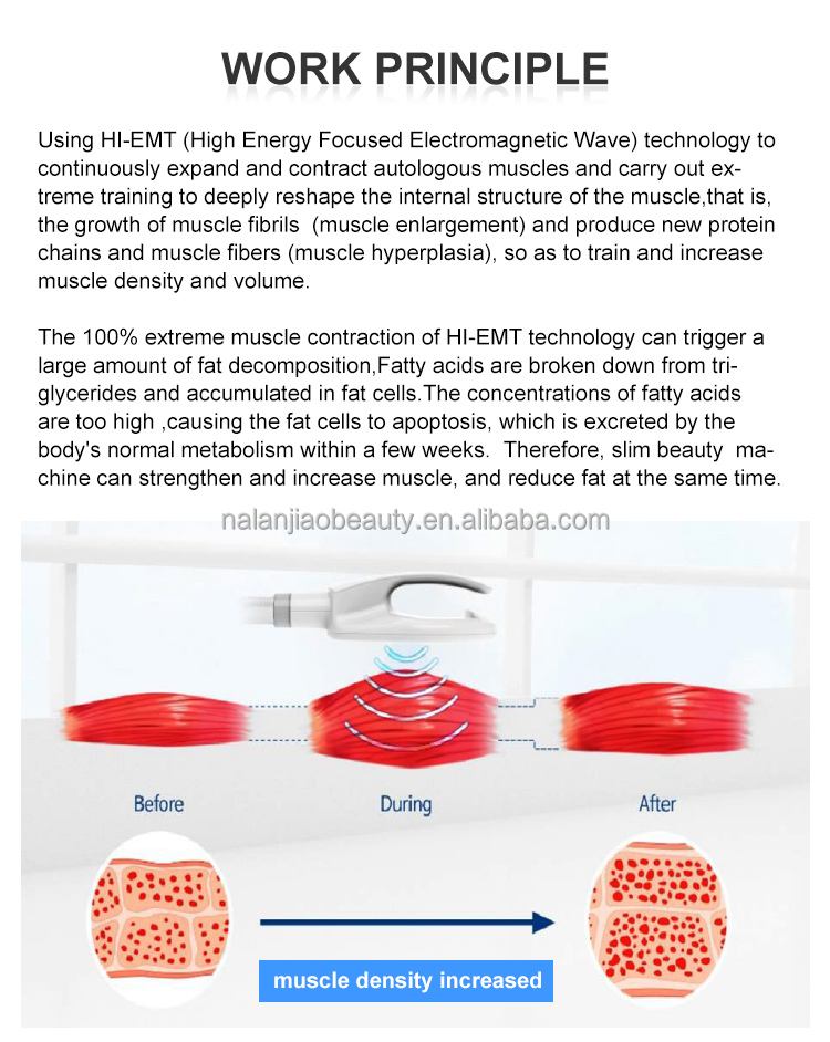 2021 TeslaSculpt EMS Muscle Stimulator HI EMT 7 Tesla High Intensity Electromagnetic Body Contouring Slimming Nova RF Emslim Neo