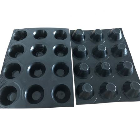 Factory Price High Quality Construction Waterproofing Plastic Drain Board