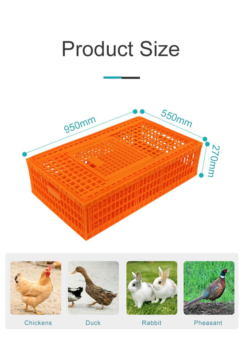 2021 hot sale plastic chicken coop for poultry farm used transport crate