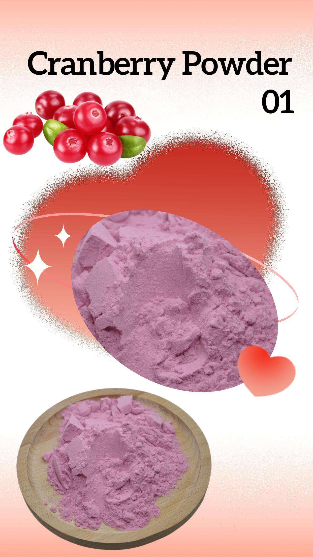 Hot Sale Concentrated Organic Fruit Juice Water Soluble Cranberry Powder