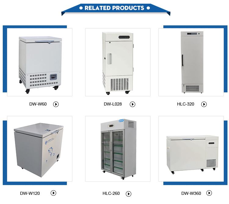 -86 Degree Vaccine Freezer Is Equipped With A liquid Crystal Shockproof Freezer