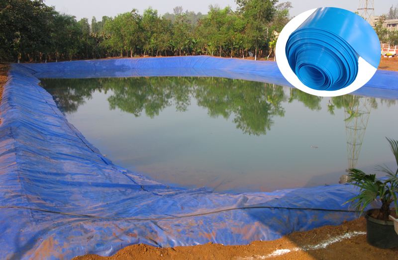 Black Waterproof Pond Liner Aquaculture LDPE HDPE Geomembrane in Roll