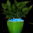 colorful vase fill Luminous crushed glass pebbles glow in the dark garden stones