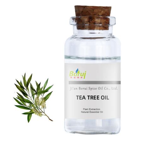 2021 Hot Selling Melaleuca Alternifolia Tea Tree Oil Price  Bulk Essential Oil 1 Gallon