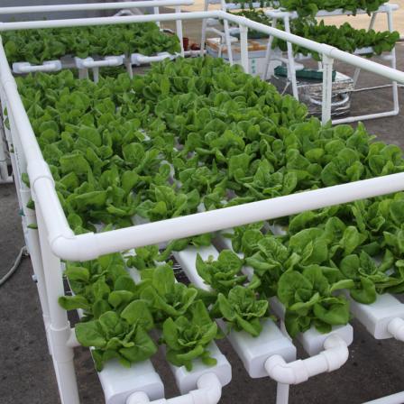 PVC Pipe For Hydroponic Growing Systems Nft