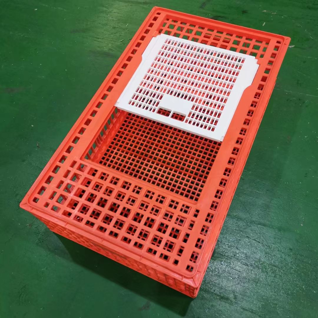 2021 hot sale plastic chicken coop for poultry farm used transport crate