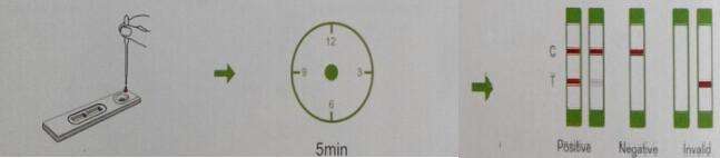 Plastic cassette for rapid test A-1