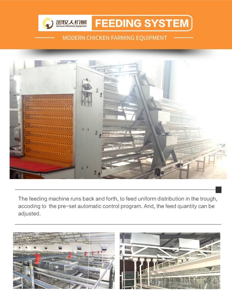 Jinmuren Industrial Fully Automated A Type Layer Hen Battery Farming Cage Poultry System For 10000 Birds