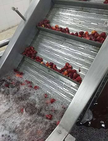 Fully Automatic Frozen strawberry blackberry raspberry bubble washing packing machine with IQF