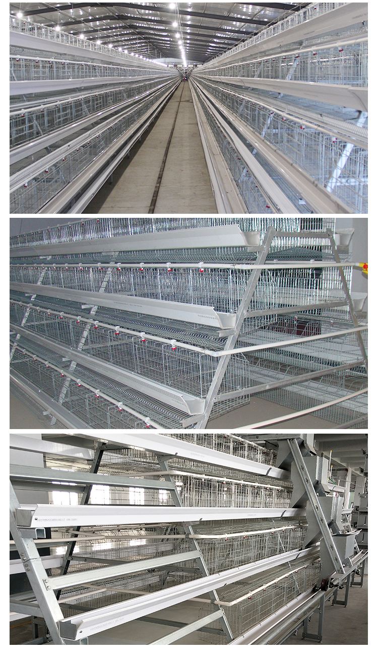 3 tier 120 capacity wire mesh chicken layer cage for poultry in dubai