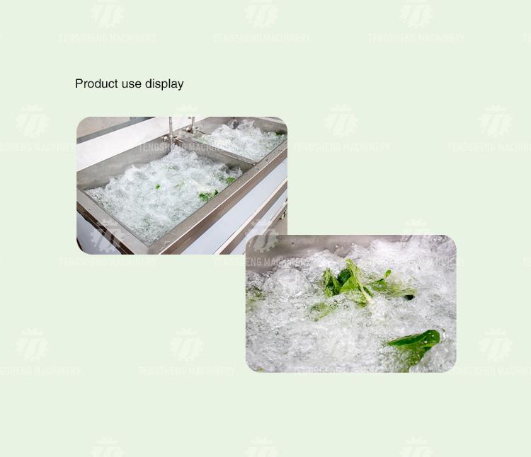 Industrial Ozone Vegetable Fruits Washing Machine Ultrasonic Bubble Washer Ts-B