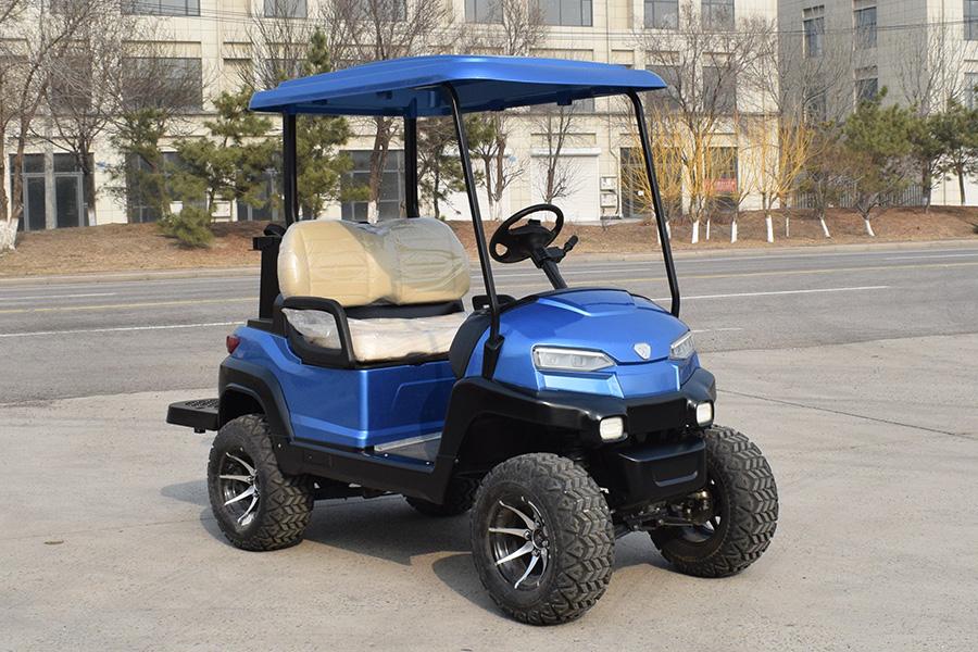 2021 New Design Z series 2 seater electric golf cart