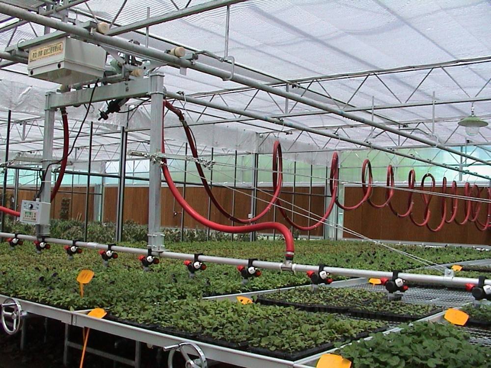 Multi Span Economic Agricultural Grow Tunnel Plastic film Greenhouse Tent for vegetables