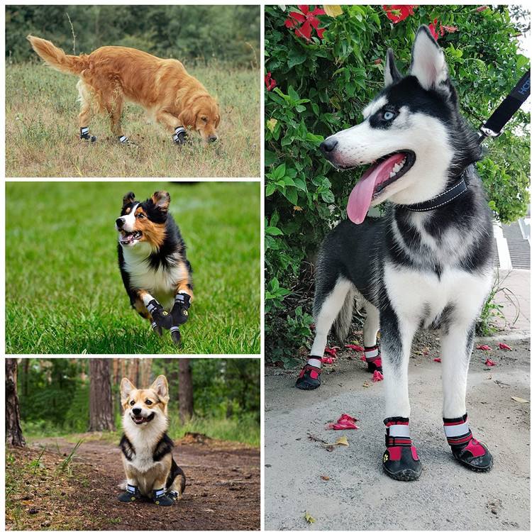 Black Rugged Anti-Slip Waterproof Dog Shoes Boots Paw Protector with Reflective Strips