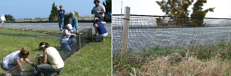 Plastic extruded hexangular net  garden border fence machine