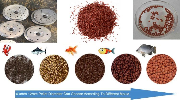 2021 best selling Industrial 2 ton/hour animal feed Complete Production Line double screw extrusion fish feed pellet