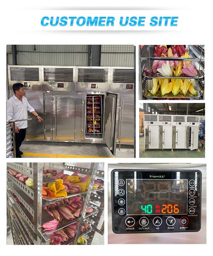 commercial chicken iqf blast freezer for meat fish small blast freezer