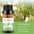 unscented wholesale private label cheap bulk price 100% pure natural organic essential tea tree oil