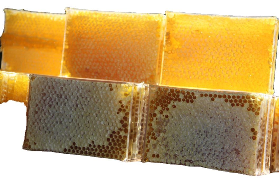 High Quality Sticky Dark Color Raw Wild Wholesale Bulk Natural Honey