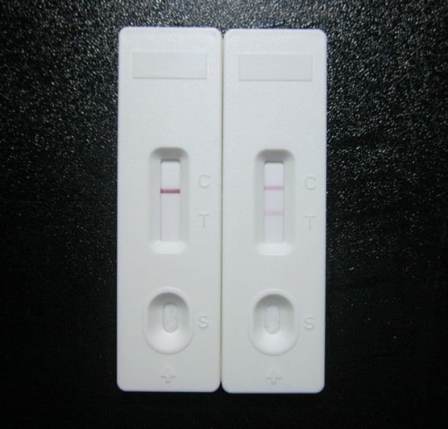 E.coli O157 Lateral flow rapid test cassette