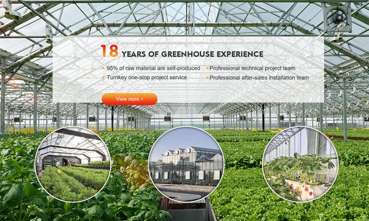 Agriculture greenhouse frame tunnel film green house strawberry greenhouse multi span greenhouses