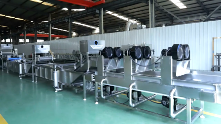 Tunnel type industrial fruit vegetable blanching machine processing