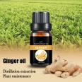 Hot sale Customized small bottle Professional manufacturer Ginger flower essential oil  zingiberol,gingerol,shogaol