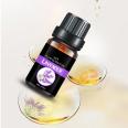Hot sale Customized small bottle massage oil Flavour and fragrance pure natural lavender essential oil