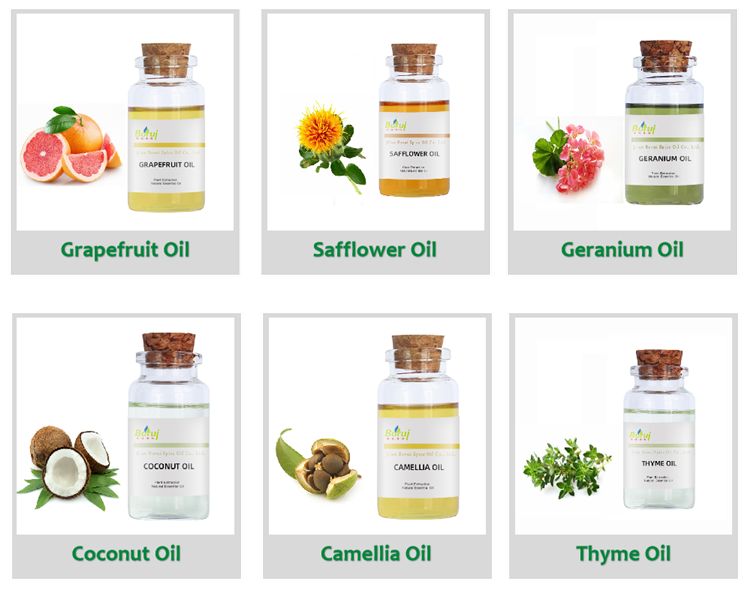 Borui manufactures bulk supply natural eucalyptus essential oil best price