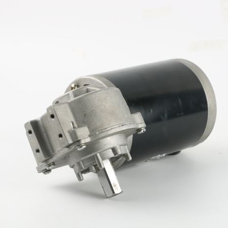 63mm 12V 24V  High Torque Micro Gear Motor 60W with Brush Sliding Door Motor DC Worm Gear Motor