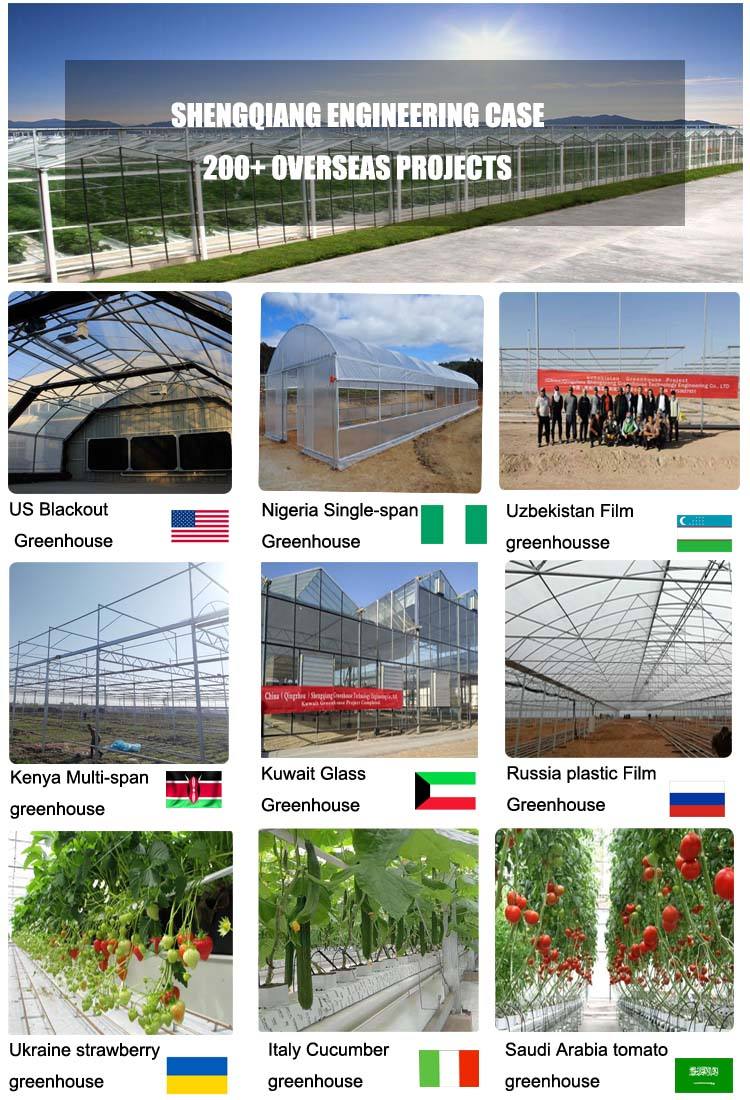 Agriculture greenhouse frame tunnel film green house strawberry greenhouse multi span greenhouses