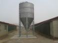 Steel Feed Tower Silo for Pig Farm Chicken Farm Feeding System