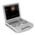 Best Price Dw-L5 portable Ultrasound device Laptop 3D 4D Color Doppler Ultrasound Scanner