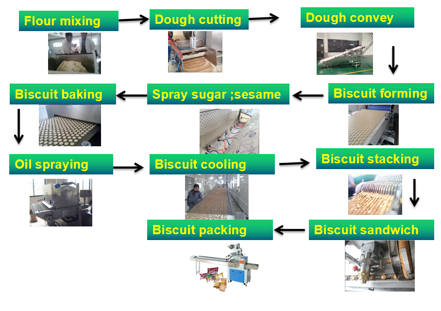 HARD&SOFT biscuit production line/cookie biscuit machine