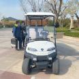 ZYCAR Brand Multifunctional aluminum frame independent suspension electric golf cart with professional meter