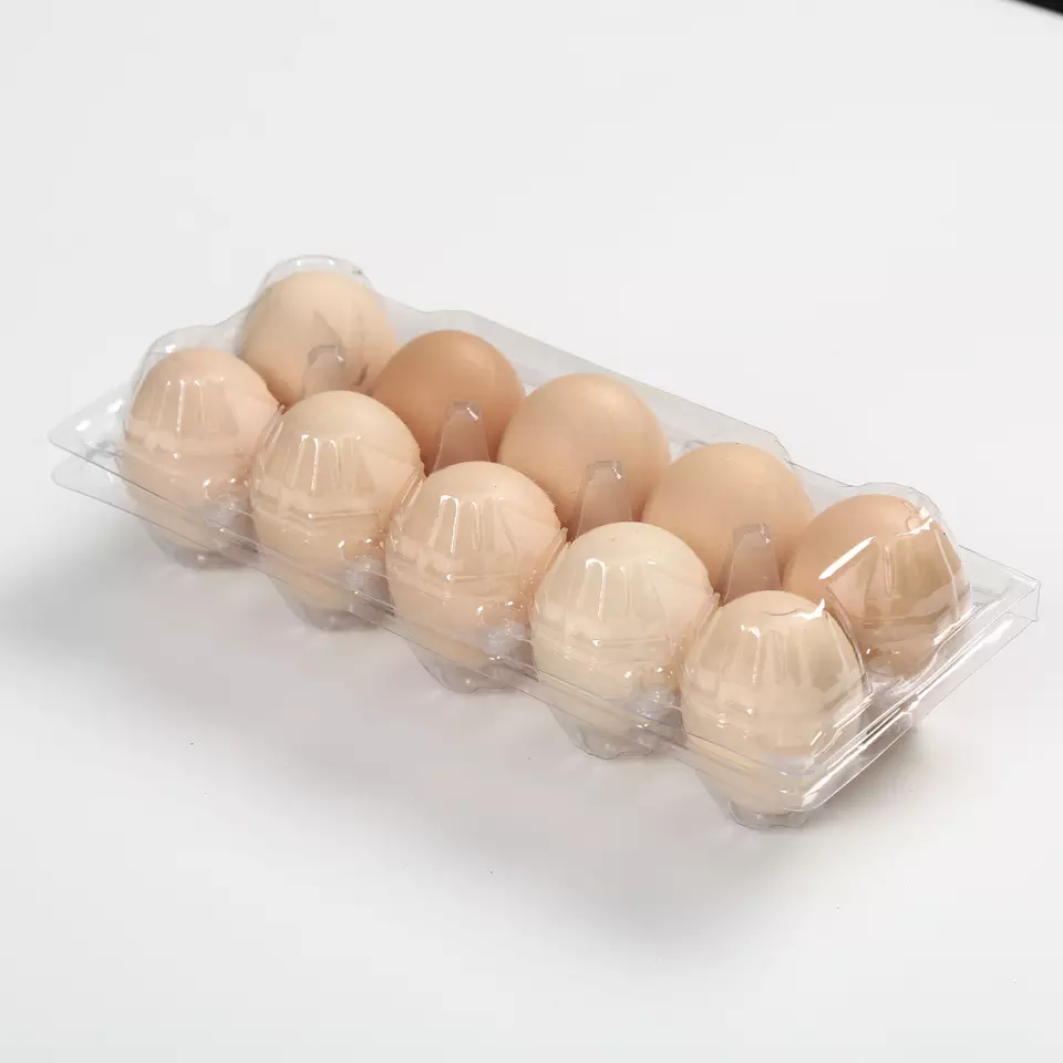 plastic transparent PET 2-holes  egg tray