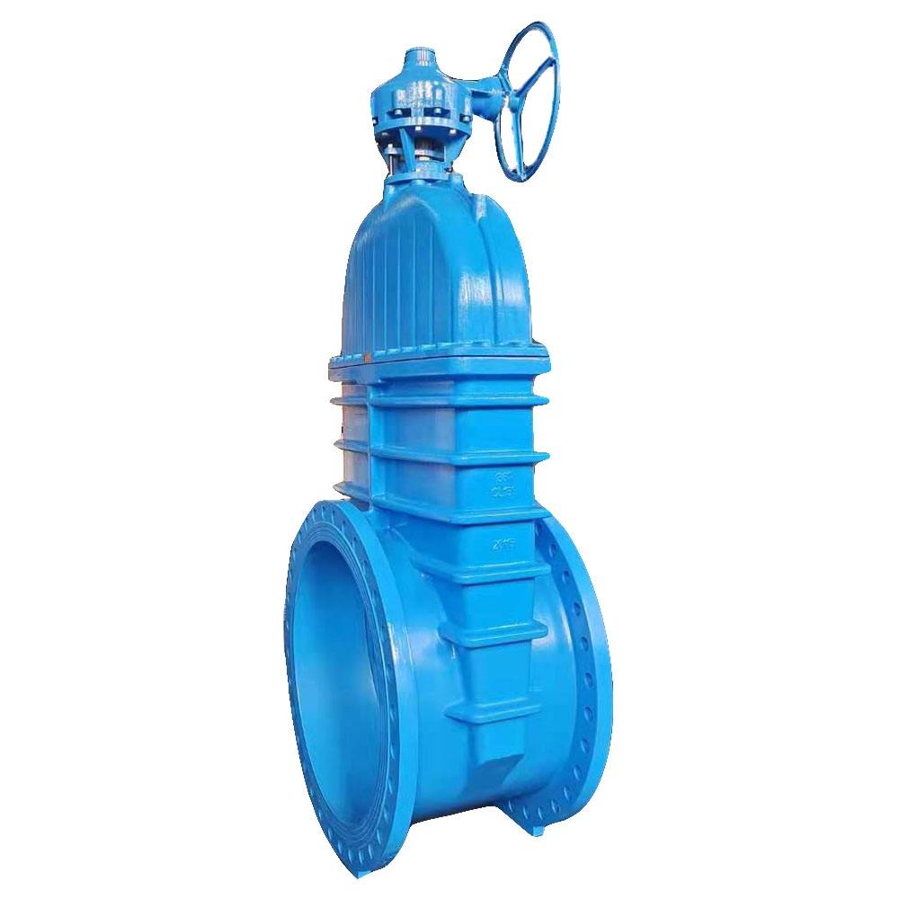 China Factory Direct Sale Large diameter Resilient seat gate valve for sale