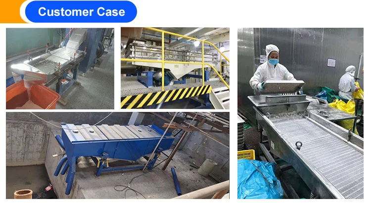 High-end product linear vibrating sieve for spirulina