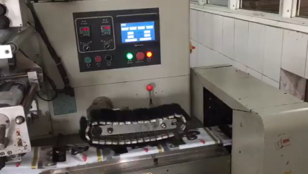Automatic Fresh Frozen Fish Fillet Sausage Pork Flow Packing Machine