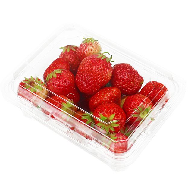 factory direct fruit and vegetable container candy snacks nut dessert PET clear food grade punnet  take away custom printed
