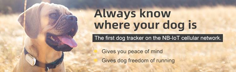 Professional Dog Bandanas Anti-Lost Waterproof GPS Collar Pet Tracker with Tracking System