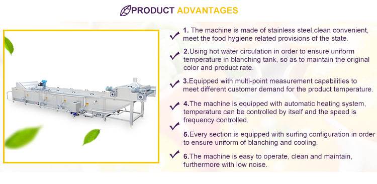 Factory supplier continuous tunnel pasteurizer  ketchup pasteurization machine