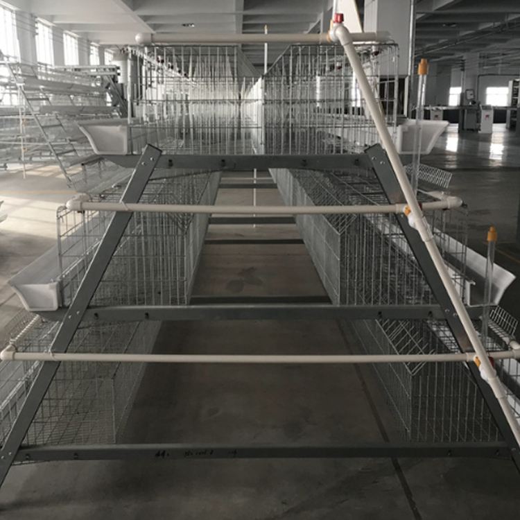 More farmer choose this type chicken cage do the perfect farm